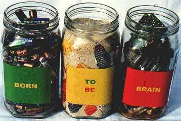 brain