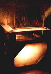 light 7b